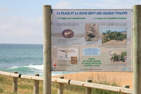 Ballade sur les dunes