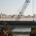 IMG_7947.jpg