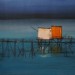 IMG_9534