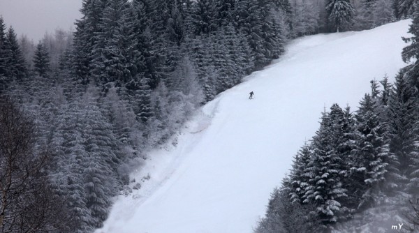IMG_9727.jpg
