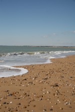 IMG_8504.jpg